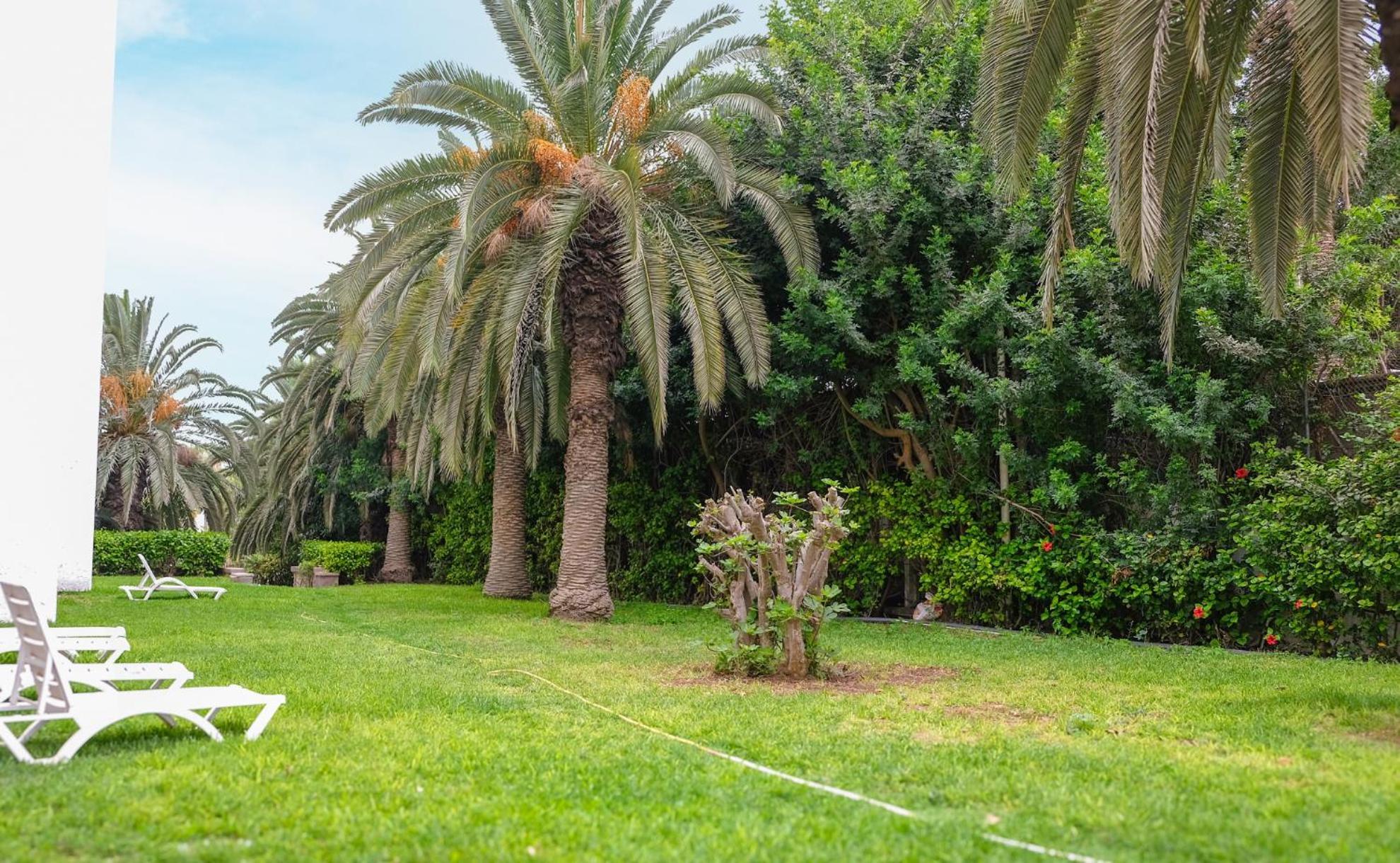 Hamilton Agadir